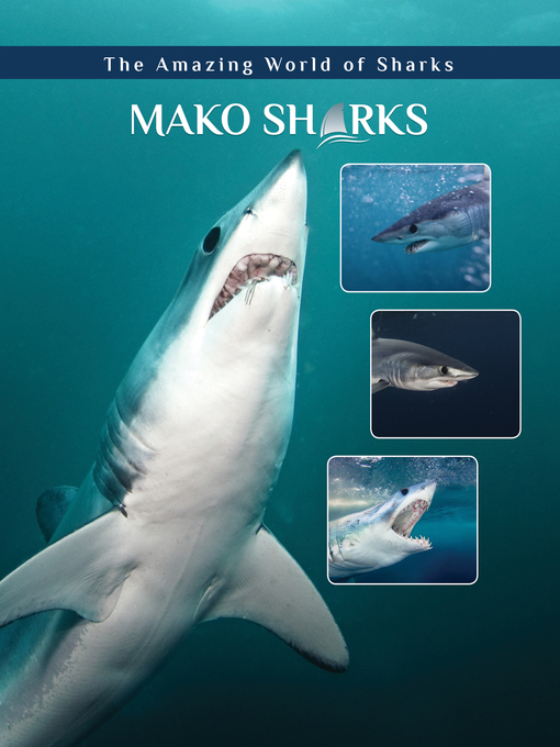 Title details for Mako Sharks by Elizabeth Roseborough - Available
